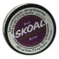 Click image for larger version

Name:	skoal-long-cut-berry.jpg
Views:	164
Size:	45.9 KB
ID:	596442