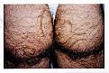 Click image for larger version

Name:	hairy butt.jpg
Views:	160
Size:	11.0 KB
ID:	596979